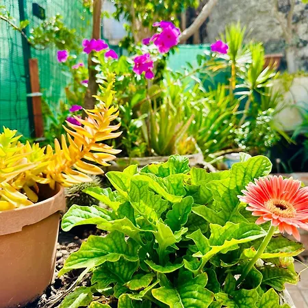 Casa Vulcano Catania