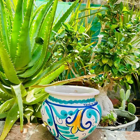 Lejlighed Casa Vulcano Catania